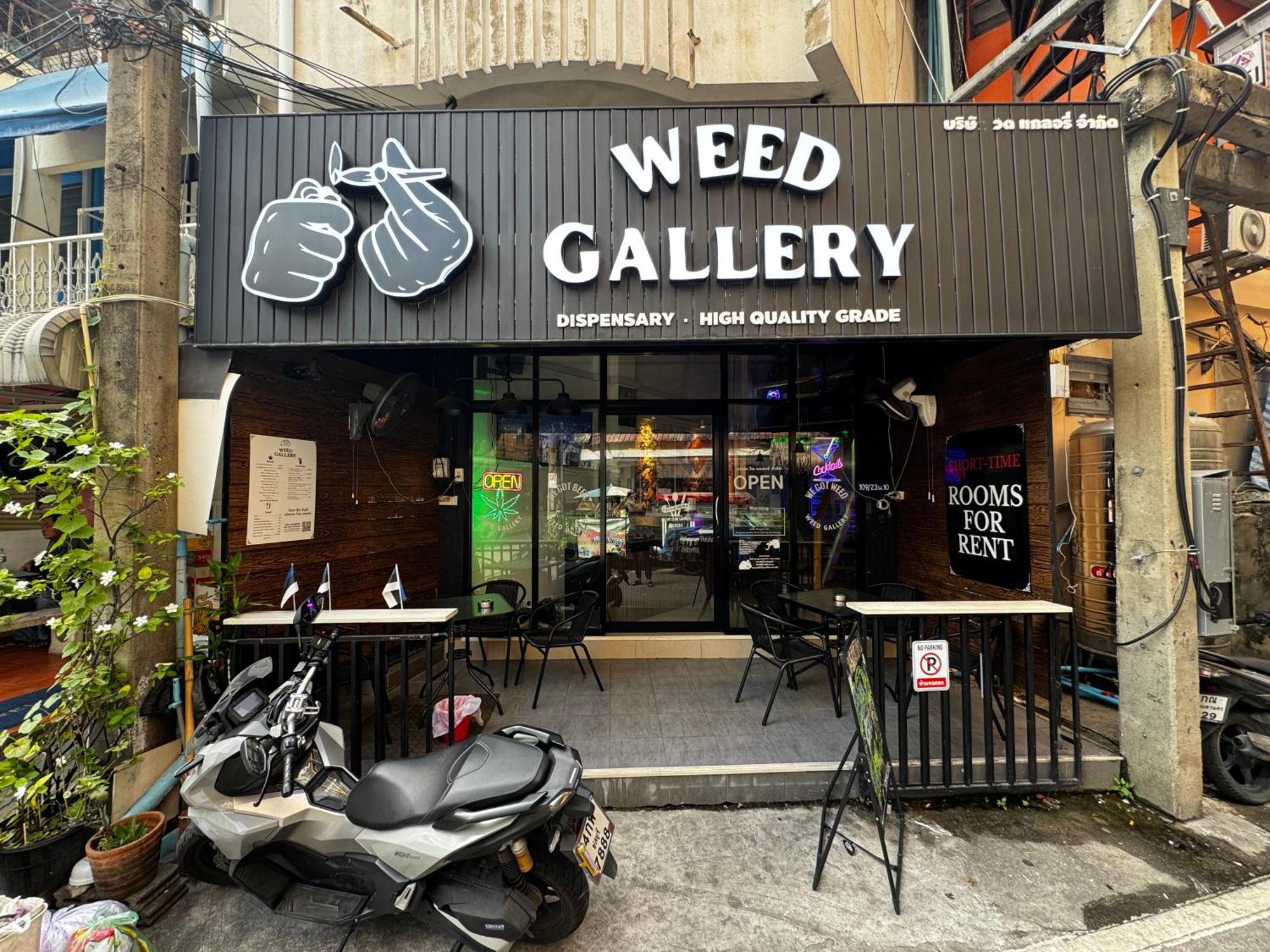 Maison d'hôtes W33d Gallery *